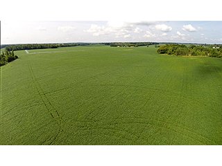 Property photo 19 - MICHIGAN LAND AUCTION, 1119 Acres offered in 17 Tracts
